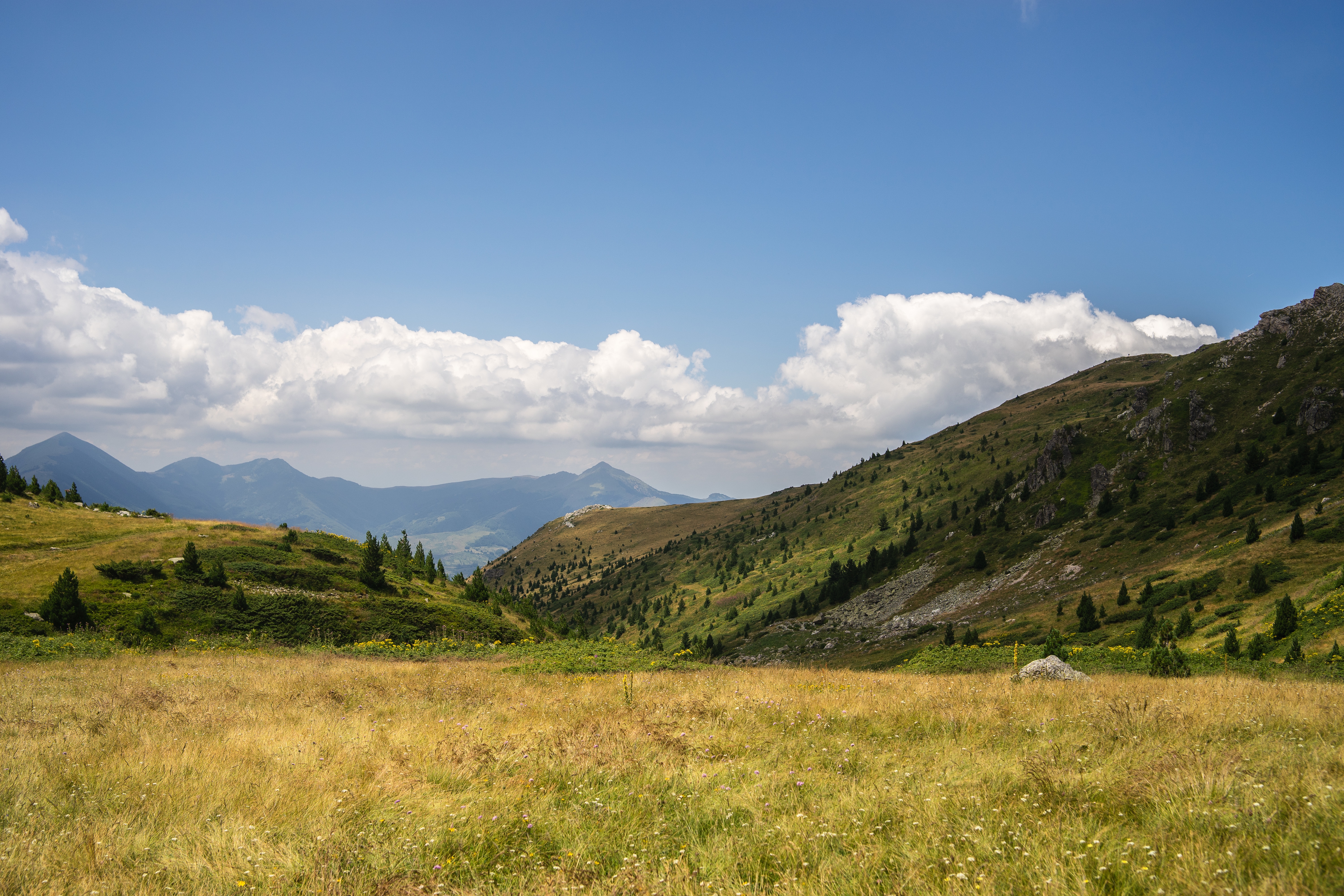 Mountain Land vs. Valley Land: Which Is Right for You?